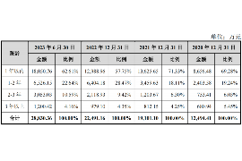 宁国企业清欠服务